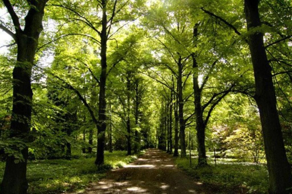 Apartament Green City * Breslau